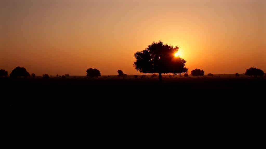 Damodra Desert Camp Jaisalmer Zewnętrze zdjęcie