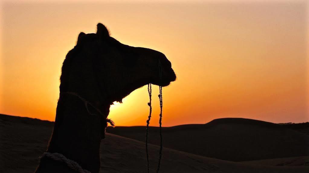 Damodra Desert Camp Jaisalmer Zewnętrze zdjęcie